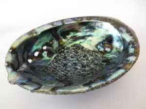 Abalone Shell Large Wholesale (Beautiful)