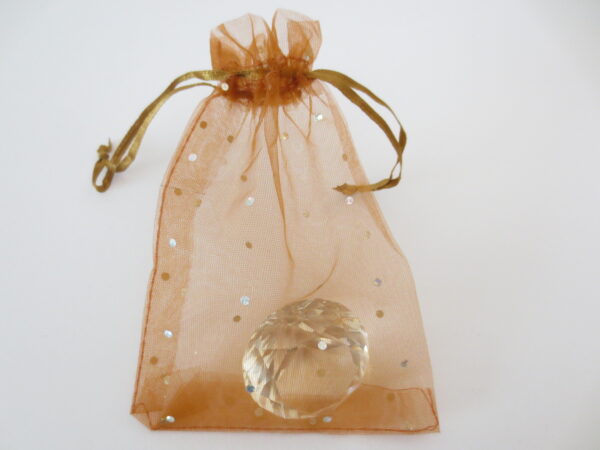 Brilliant Organza bag