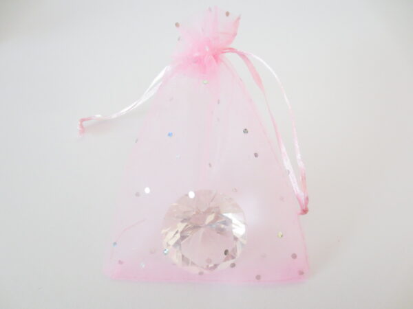 Brilliant Organza bag Pink