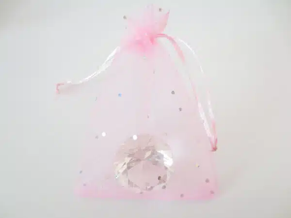 Brilliant Organza bag Pink