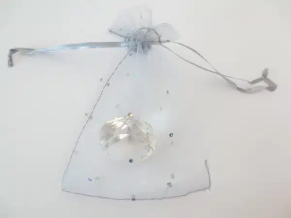 Brilliant Organza bag Silver