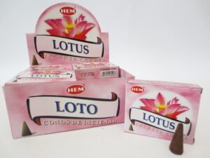 Lotus cones