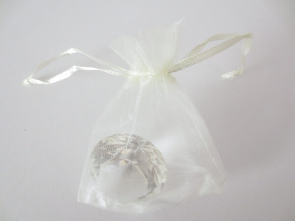 Organza Gift Bag 10 x 15cm Creme