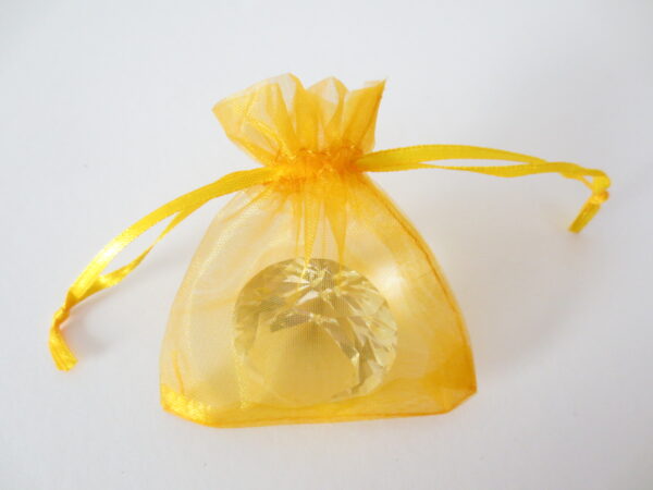 Organza Gift Bag 10 x 15cm Gold