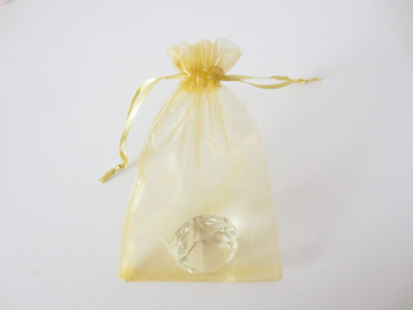 Organza Gift Bag 10 x 15cm Light Gold