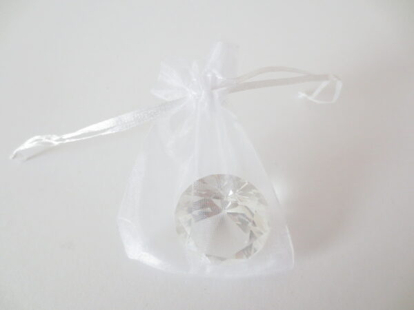 Organza Gift Bag 10 x 15cm White