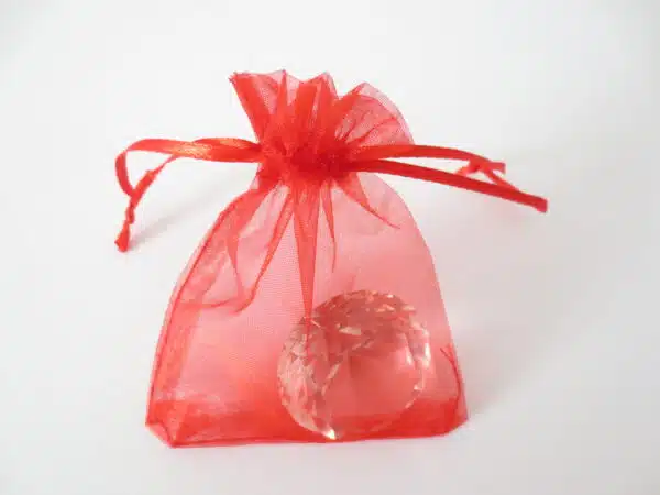 Organza Gift Bag Red 20 x 30cm