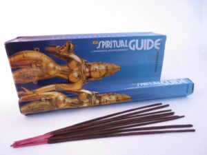 Padmini Spiritual Guide Blue