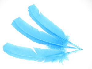 White Sage Smudge Feather turquoise (3 pieces) - wholesale