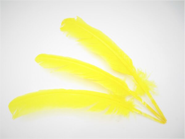 White Sage Smudge Feather yellow (3 pieces) - wholesale