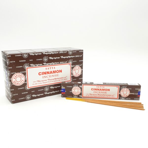 Wholesale - Satya Cinnamon 15g