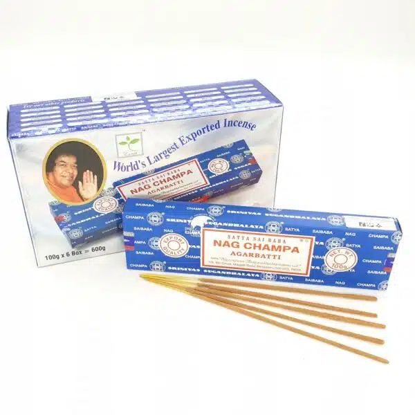 Wholesale - Satya Sai Babab Nag Champa 100 grams 2023 (Earth)