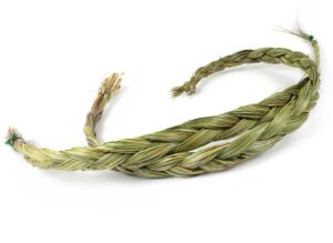 Wholesale - Sweetgrass AA quality (2 x 60 - 70 cm)