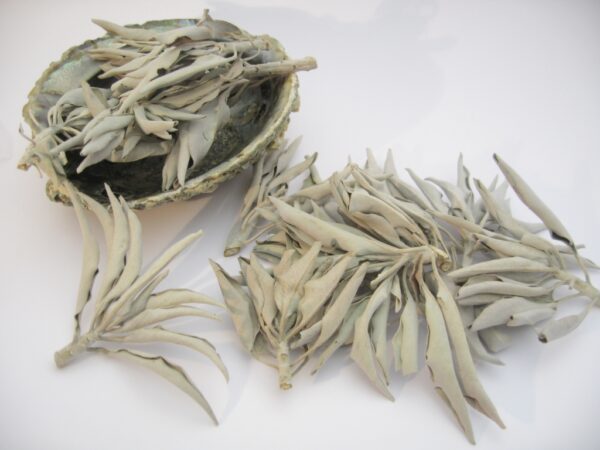 Wholesale - White Sage Leaves 500gram