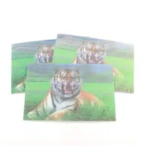 3D Animal Magnet Cards Tiger II