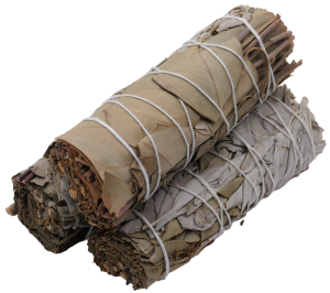 Wholesale - White Sage & Eucalyptus Smudge 12cm (3 x 25-30 gram)