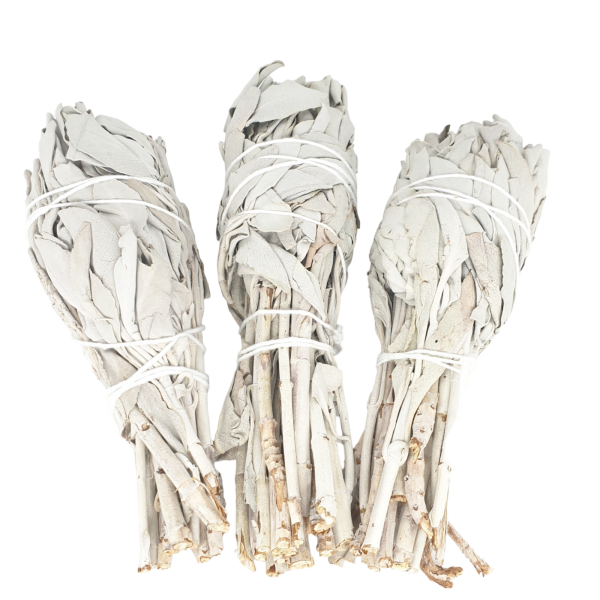 White Sage Tulip Bundle - (20-25 gram)