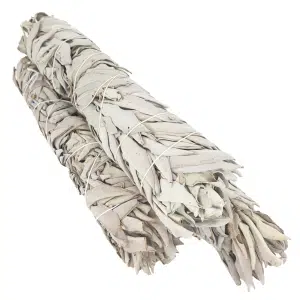 Wholesale - White Sage Smudge Sticks 100-120 gram