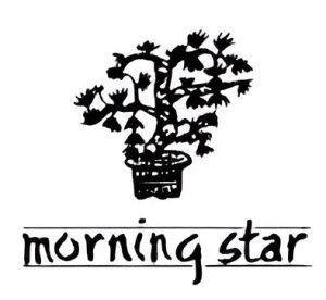 Morning Star Incense - Miniature Sticks