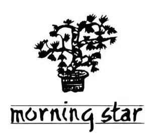 Morning Star Incense