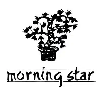 Wholesale Morning Star Incense