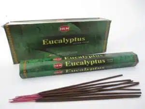 HEM Precious Eucalyptus Incense Sticks