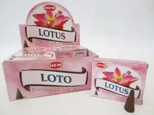 Lotus cones