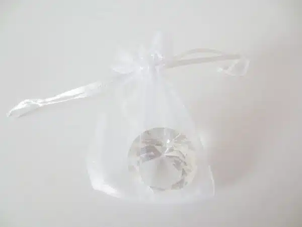 Organza Gift Bag 10 x 15 cm - White (100pcs)