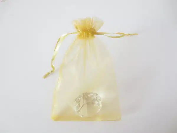 Organza Gift Bag 10 x 15cm Light Gold