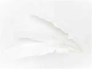 White Sage Smudge Feather white (3 pieces) - wholesale