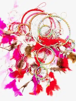 16cm Luxury Dreamcatchers - 1 + 4 (6 pieces)