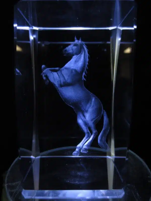 3D Jumping Horse