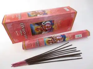 HEM Hexa Incense Sticks - Maha Saraswati