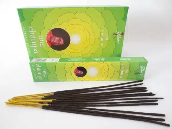 Padmini Nag Champa Sai Mahima Incense Sticks