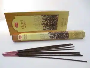 HEM Hexa Incense Sticks - Clove