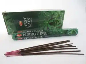 HEM Hexa Incense Sticks - First Rain