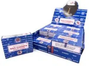 Satya Sai Baba Nag Champa Cones - 2020 Series