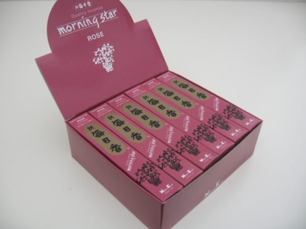 Morning Star - Rose (box)
