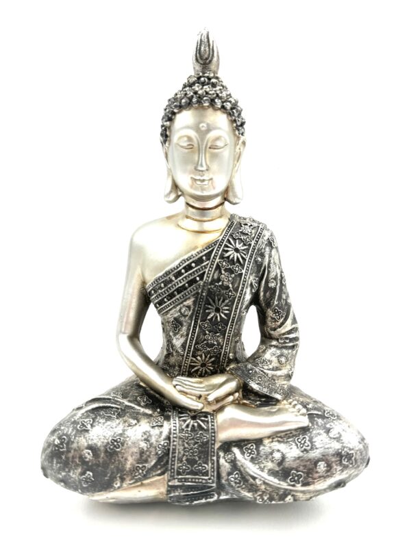 Tibetan Meditation Buddha Statue