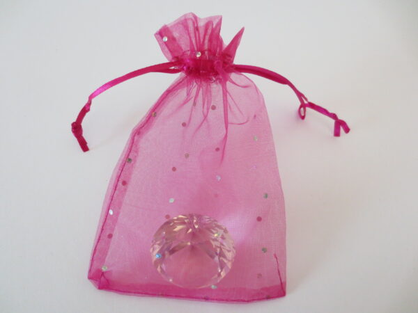 Brilliant Organza bag Fuchsia - 13cm x 20cm