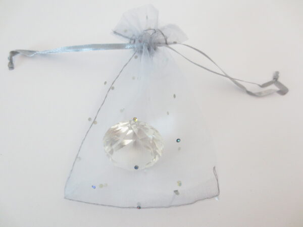 Brilliant Organza bag Silver - 13cm x 20cm