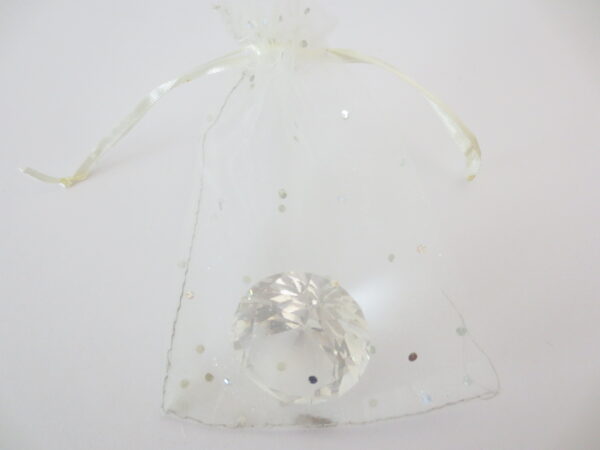 Brilliant Organza bag White - 13cm x 20cm