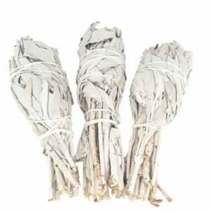 White Sage Tulip Smudge (3 x 25 - 30 grams)