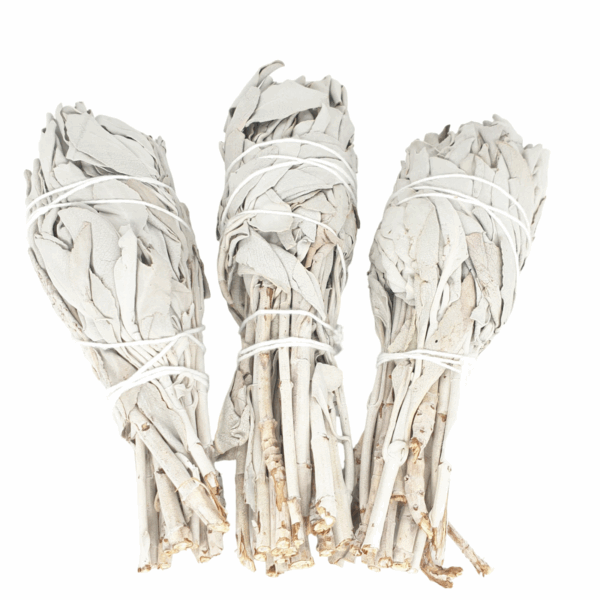 White Sage Tulip Smudge (3 x 25 - 30 grams)