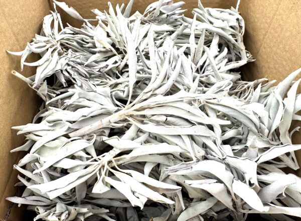 Wholesale - White Sage Cluster AA Quality - (1000g)