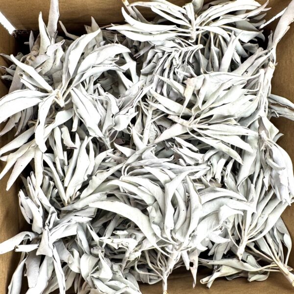 Wholesale - White Sage Cluster AA Quality - (1000g)