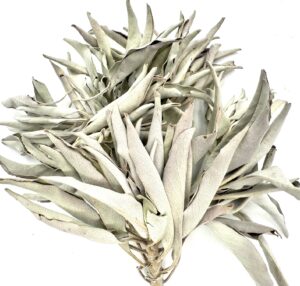 Wholesale - White Sage Cluster AA Quality - (1000g)
