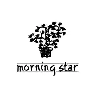 Morning Star Incense Sticks -