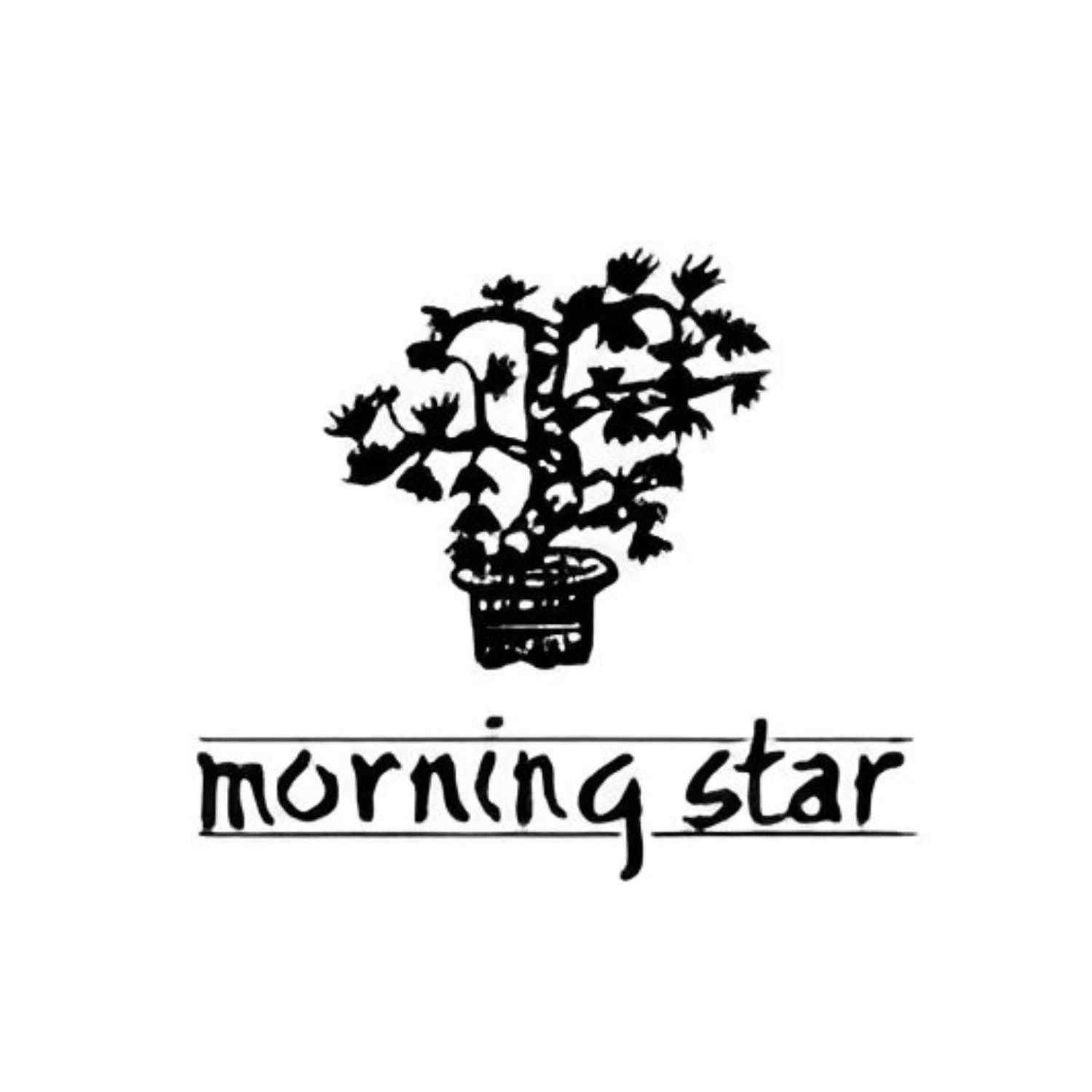 Morning Star Incense Sticks -