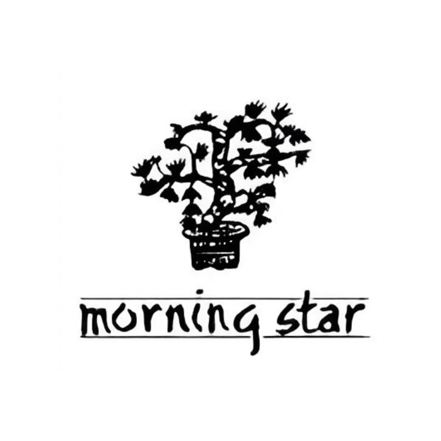 Morning Star Incense Sticks -